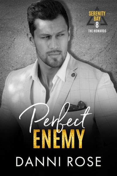 Perfect Enemy Book Cover